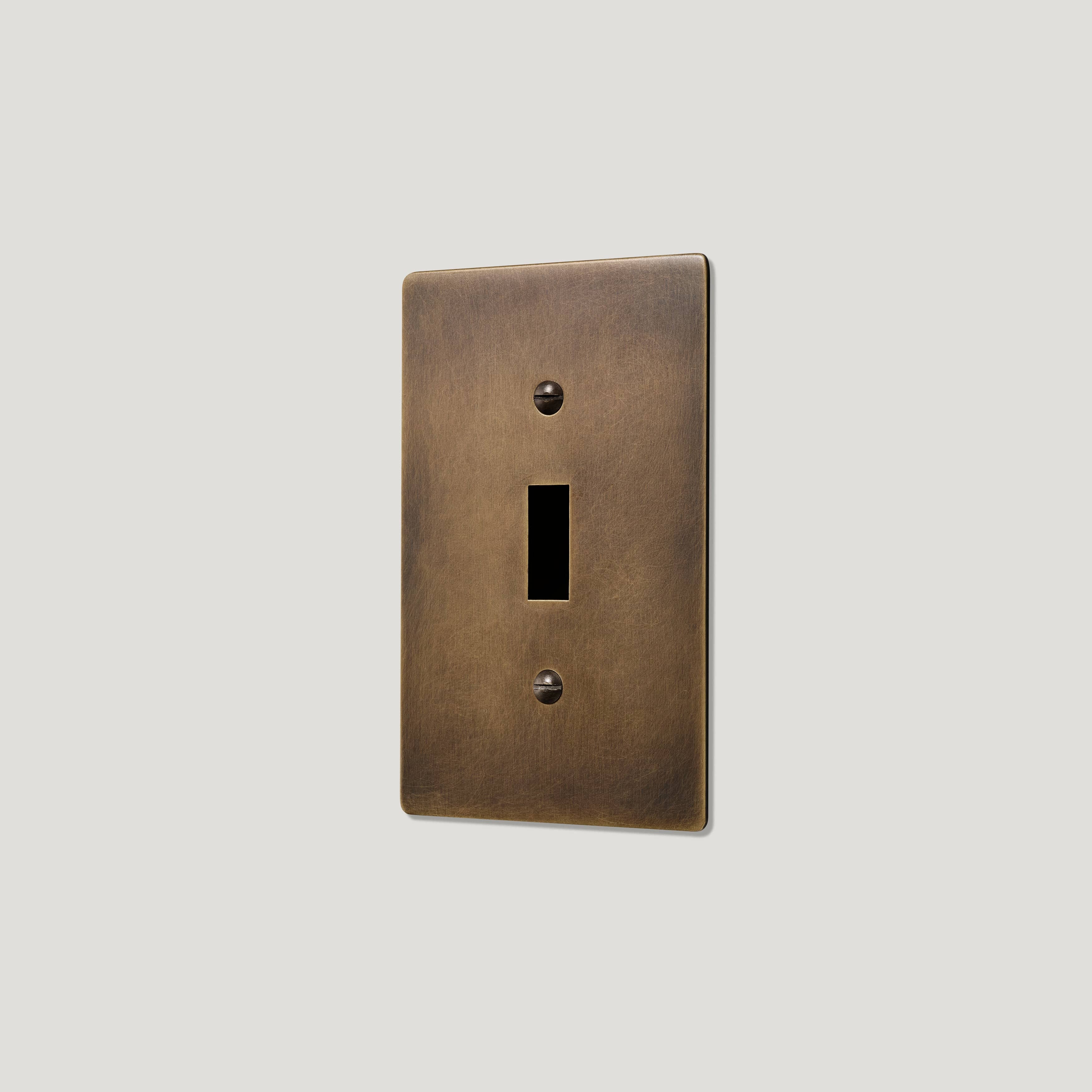 JASPER 1G Toggle/Dimmer Plate - Antique Brass - Image 4