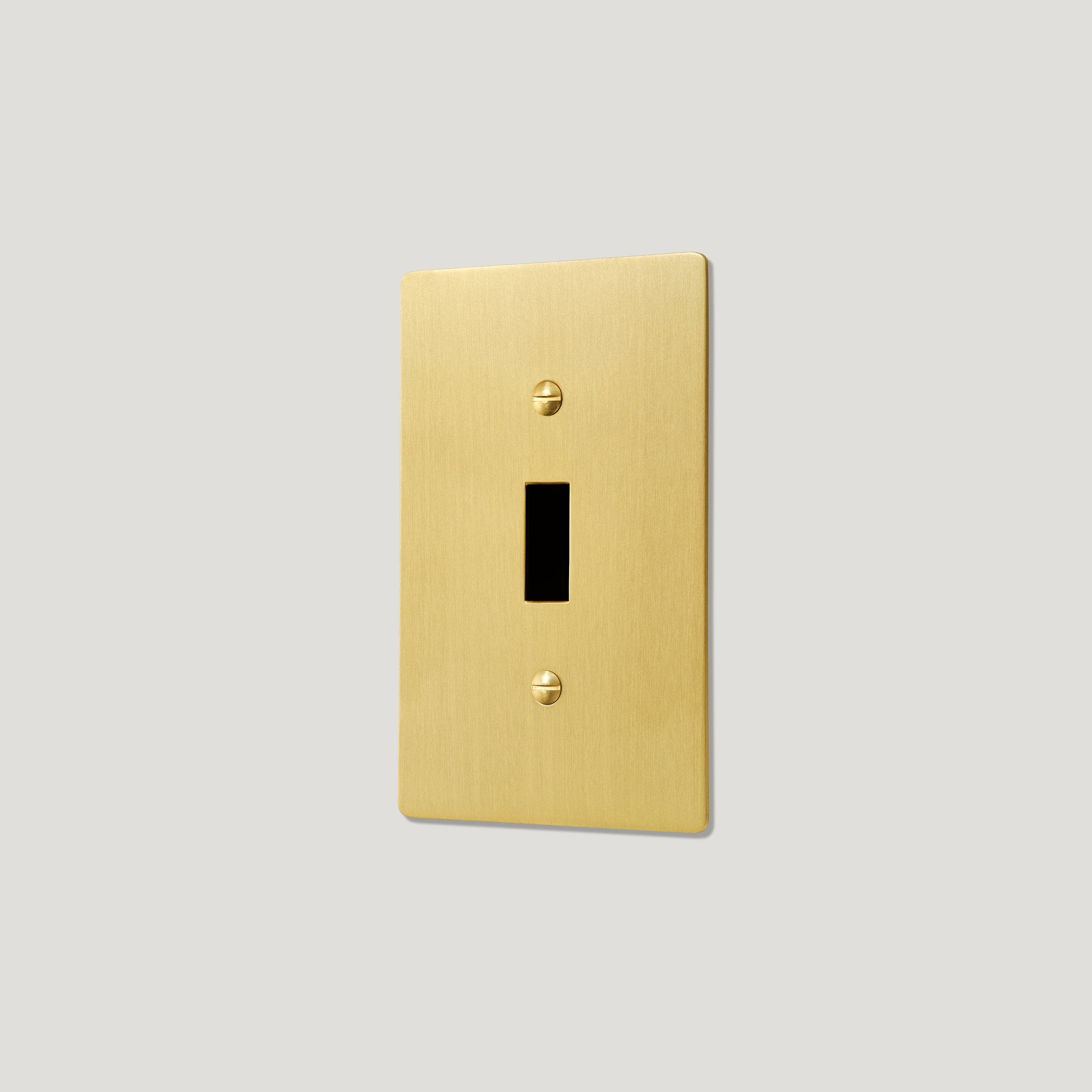 JASPER 1G Toggle/Dimmer Plate - Brass - Image 4